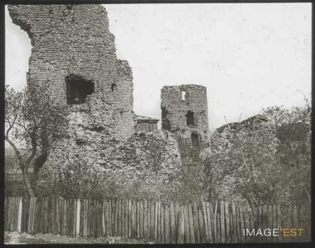 Ruines de château (Nomeny)
